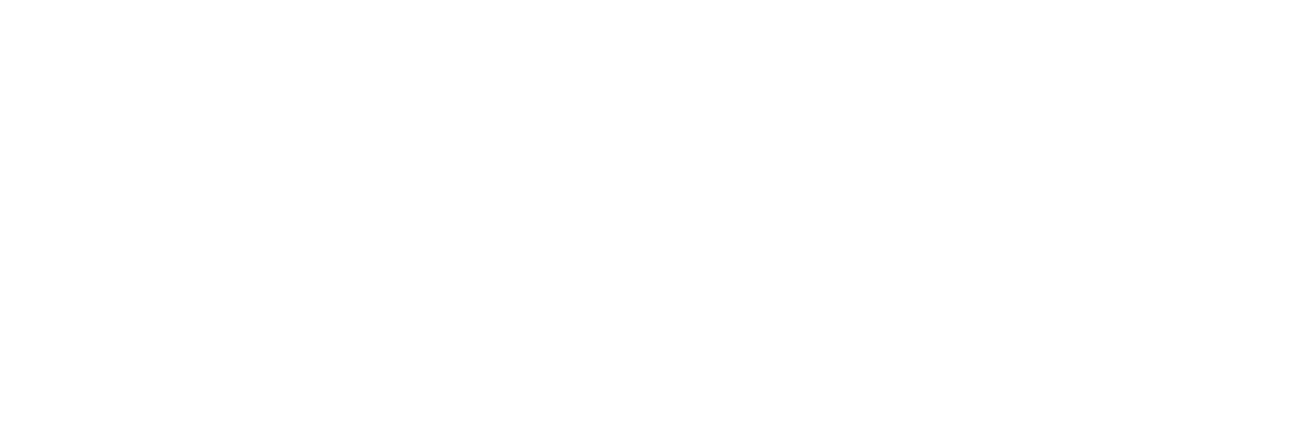 InSchool Logo White.png